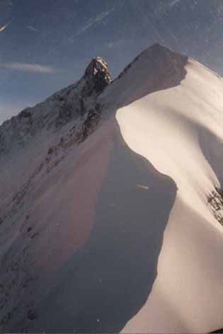 Biancograt mit Piz Bernina